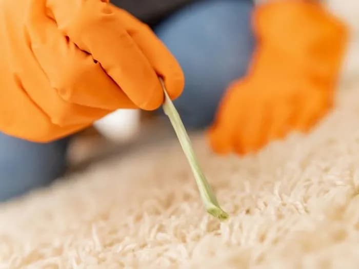 Skuteczne sposoby na to, jak pozbyć się gumy z ubrania